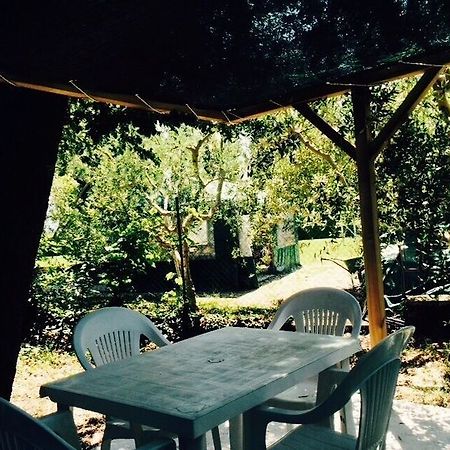 Agriturismo La Mora Assisi Kültér fotó
