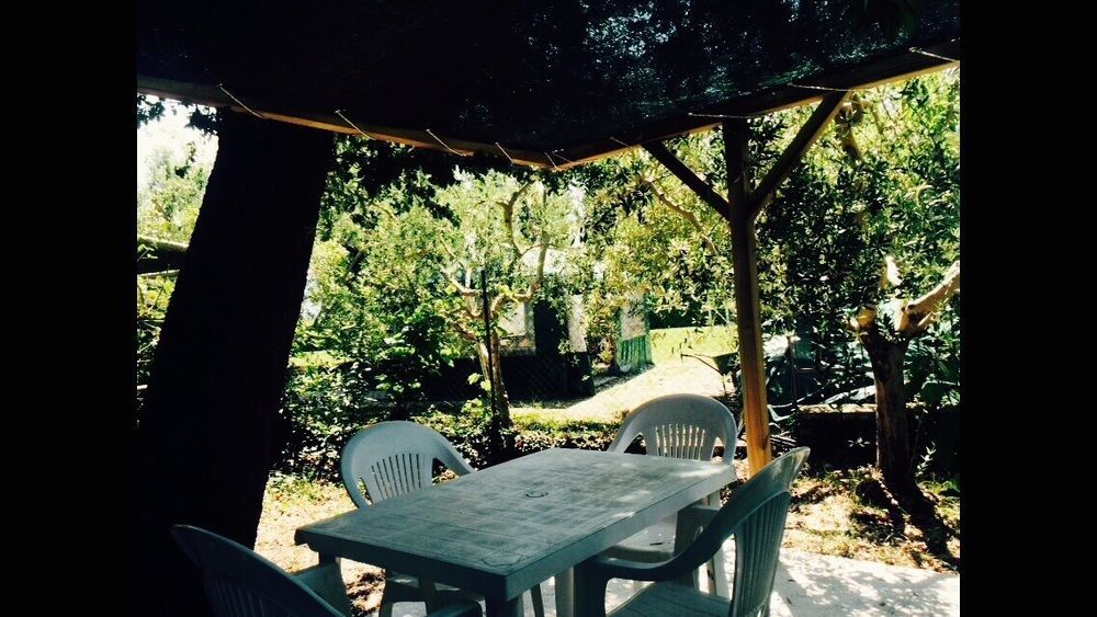 Agriturismo La Mora Assisi Kültér fotó